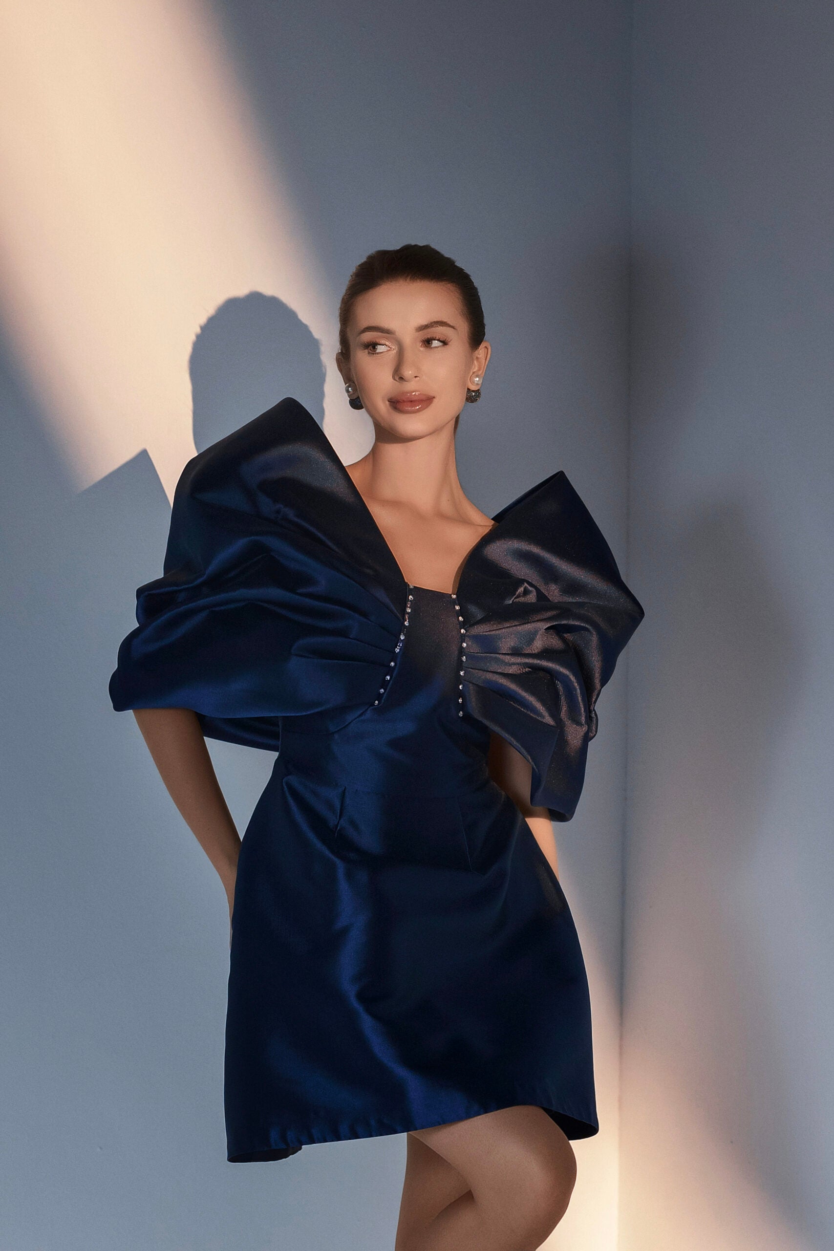 Lumière Sleeve Dress